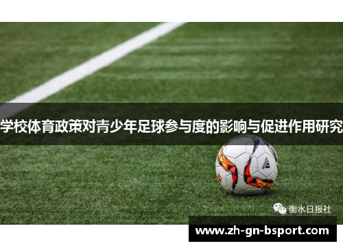 学校体育政策对青少年足球参与度的影响与促进作用研究